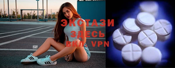 СК Алексин
