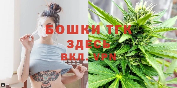 СК Алексин