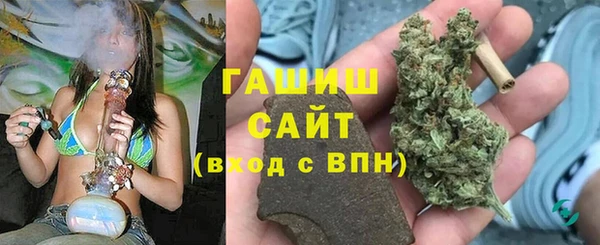 СК Алексин